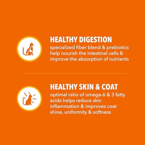 IAMS Proactive Health Healthy Adult Dry Cat Food, Chicken, 22 lb