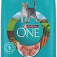 Purina ONE Tender Selects Dry Cat Food, Chicken, 7 lb Bag