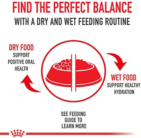 ROYAL CANIN Breed Health Nutrition Shih Tzu Adult Loaf in Sauce Dog Food, 3 oz (Pack of 24)