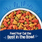Friskies Purina Seafood Sensations Dry Cat Food, 22 lb Bag