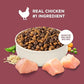 Nutrish Small Breed Dry Dog Food with Chicken, 5 lb. Bag (Rachael Ray)